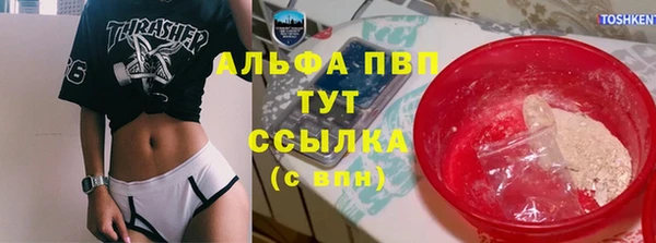 прущий лед Инсар