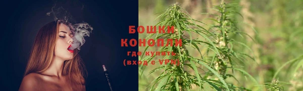 2c-b Каменка