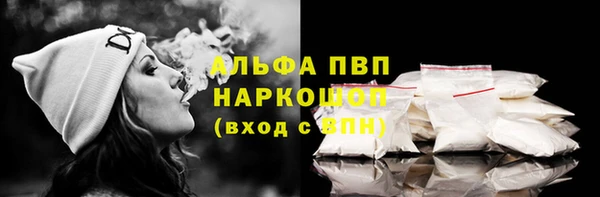 прущий лед Инсар