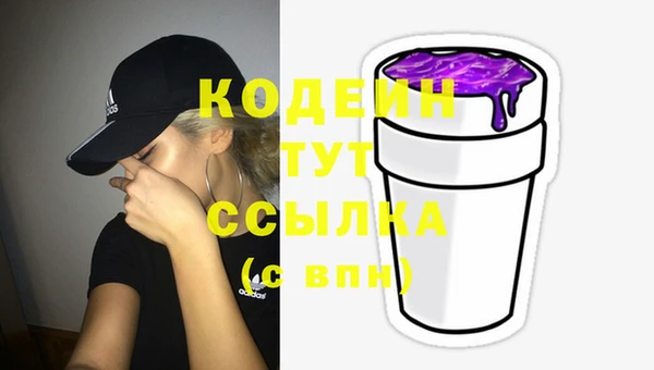 индика Иннополис