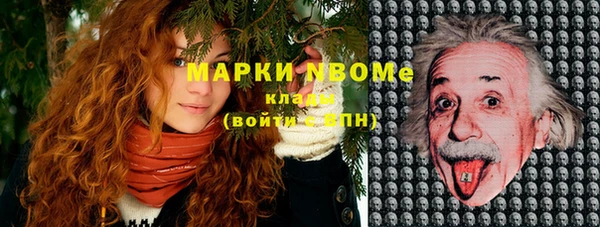 индика Иннополис