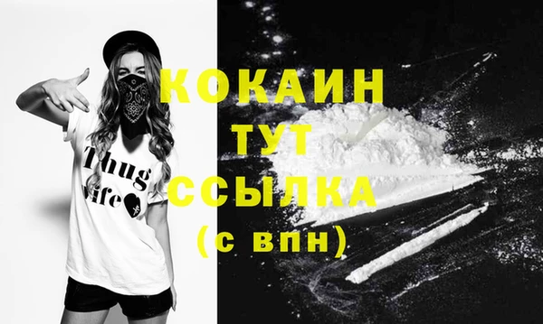2c-b Каменка
