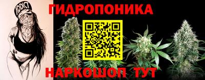 шишки Кулебаки