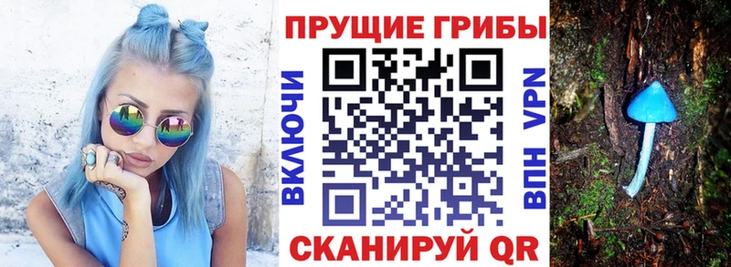 наркотики  Кизилюрт  Галлюциногенные грибы MAGIC MUSHROOMS 