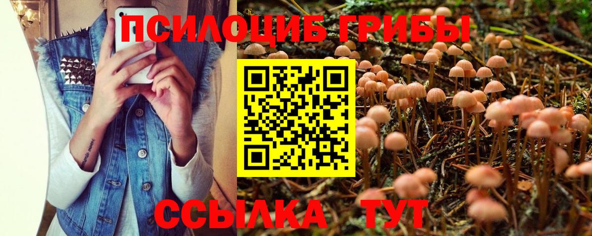 Кизилюрт  Псилоцибиновые грибы мицелий  Галлюциногенные грибы Psilocybe  Вход с VPN 